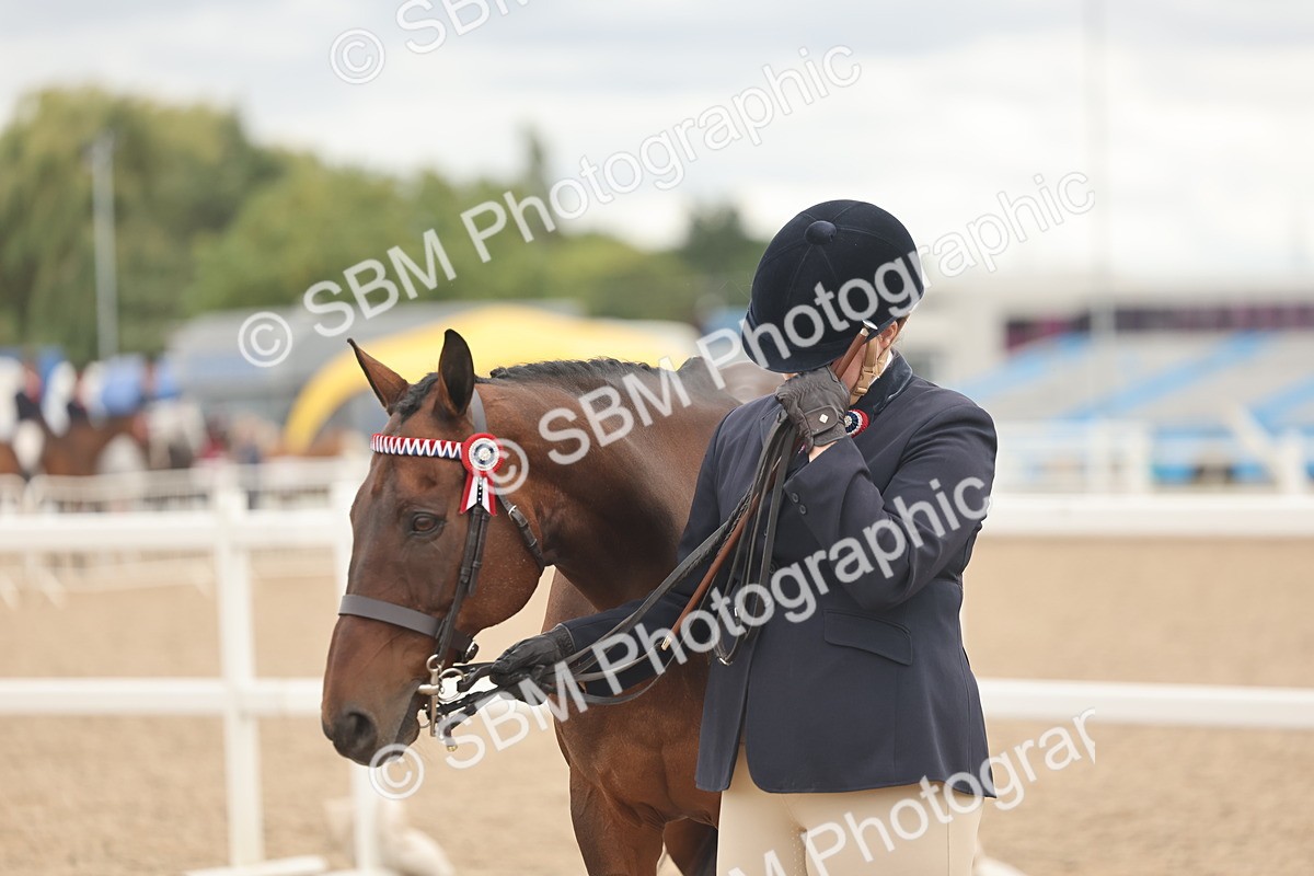 SBM_17107 - Class 313 - IH Retired Racehorse