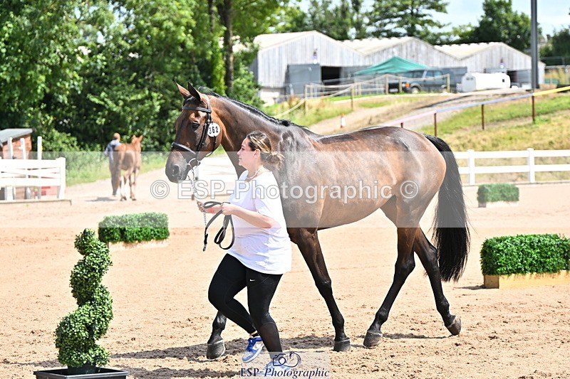 240718A-105241-01035 - Trot Up 11am to 12pm
