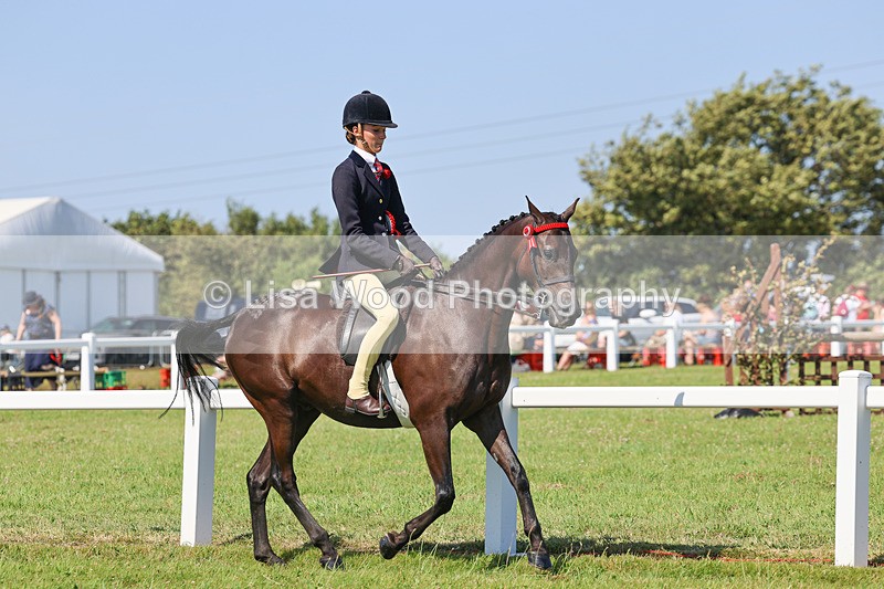 IMG_1976 - Class 33: Show Pony 148cm and under