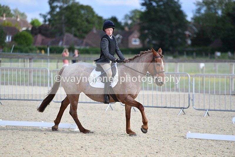 WJ5_8031 - Time 16:56 to 17:14