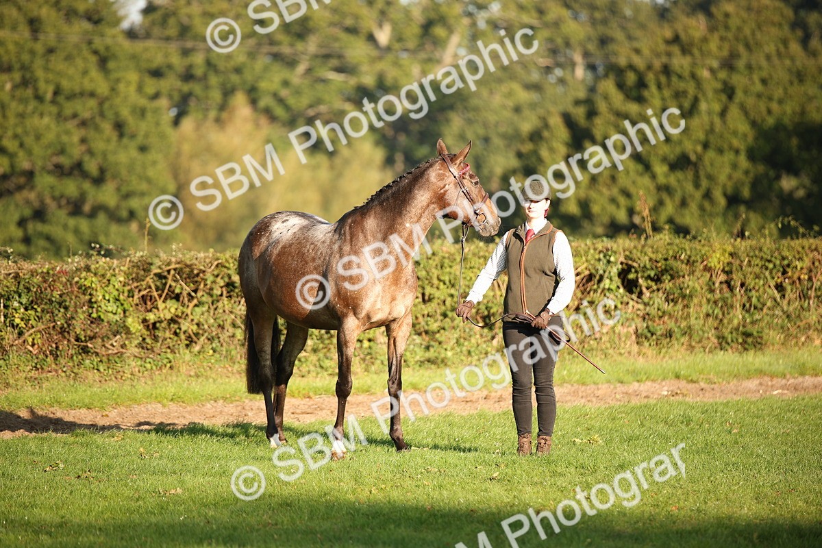 SBM_57544 - S50 - Foreign Breeds In Hand