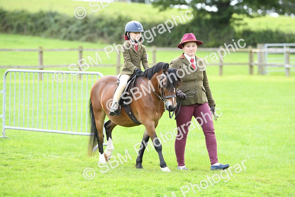 SBM_42406 - S20 - Lead Rein Mountain & Moorland Pony