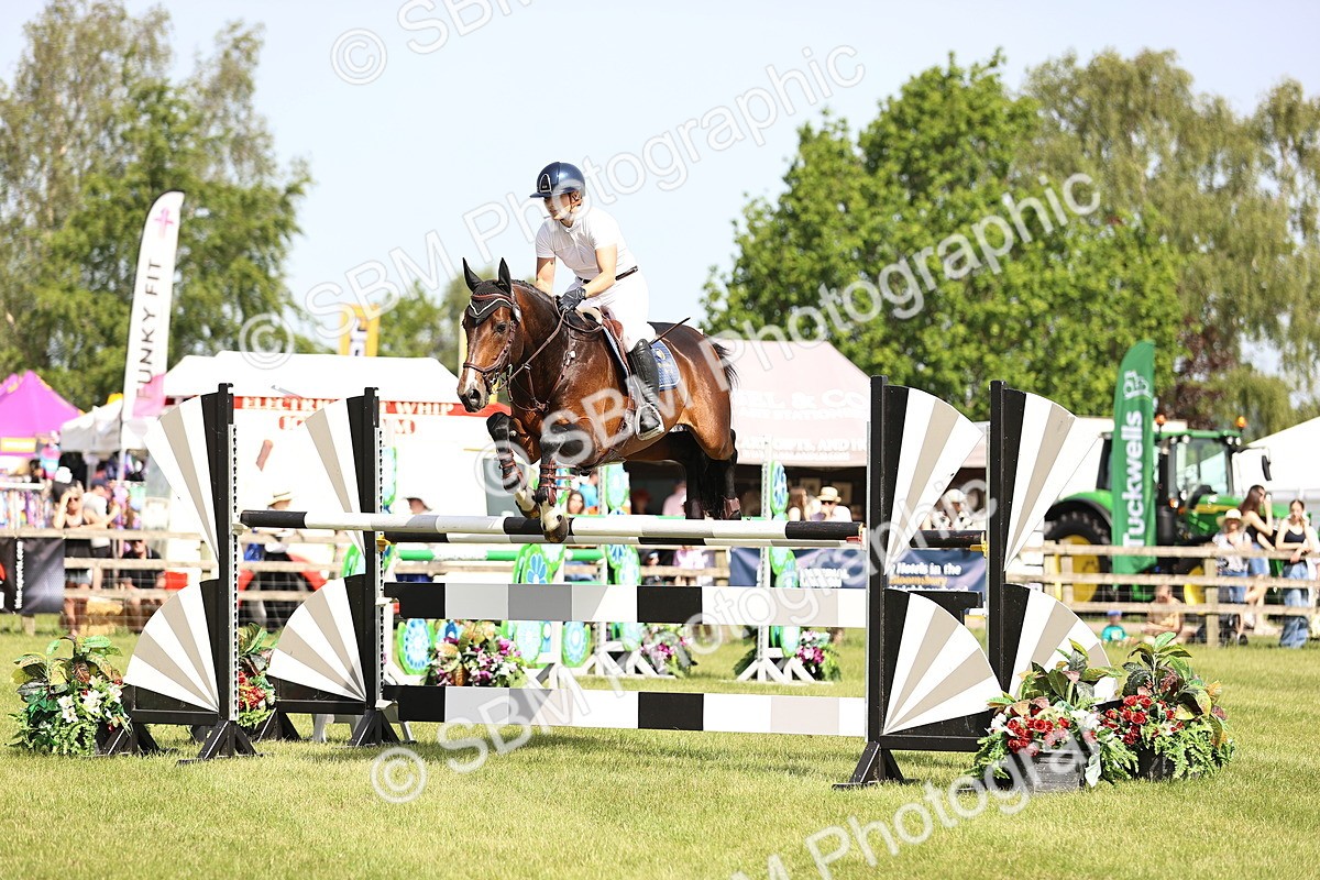 SBM_03026 - Class 201 - British Horse Feedds Speedi Beet HOYS Grade C