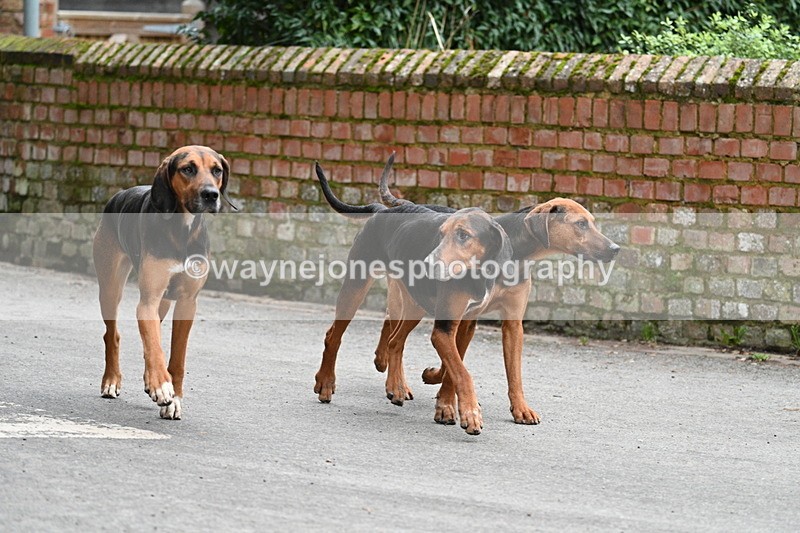 WJ7_1036 - Pub Corner