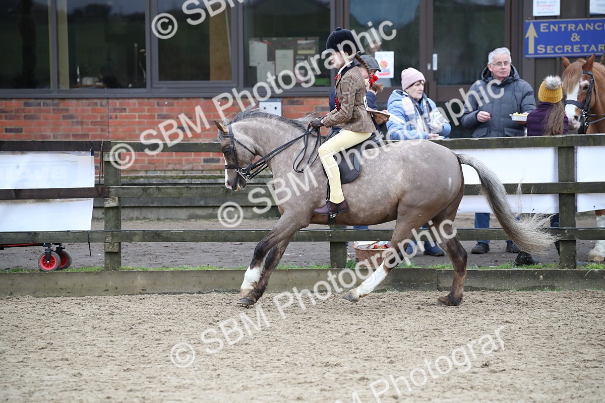 SBM_007106 - Class 10-13 - RIHS Small Large Breeds