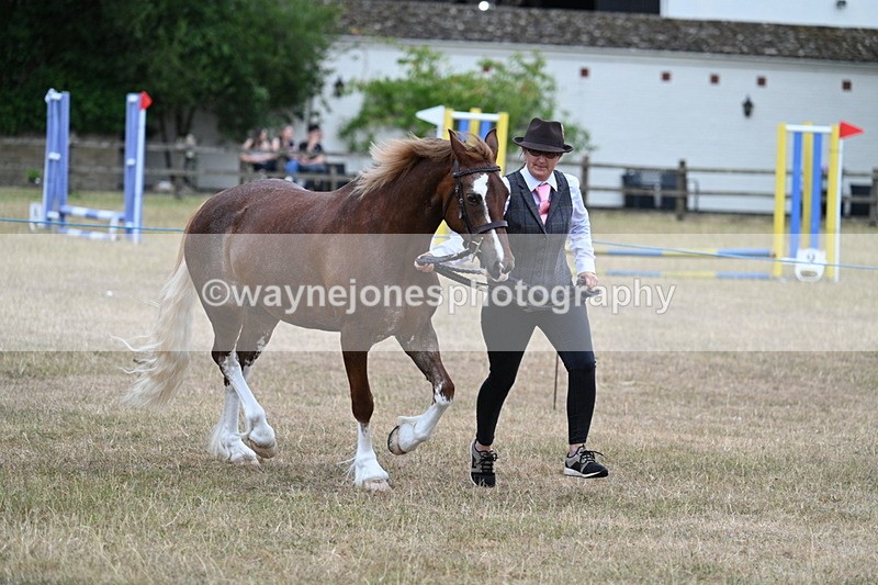 WJ7_8232 - Class 4 Prettiest Mare up to 14.2hh