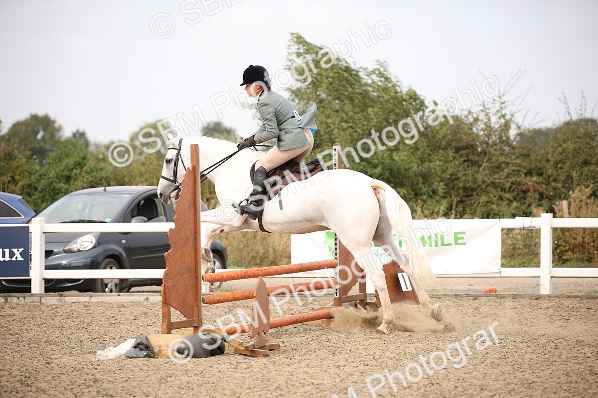 SBM_16150 - Class 409a - Working Veteran 80cm (15-19)