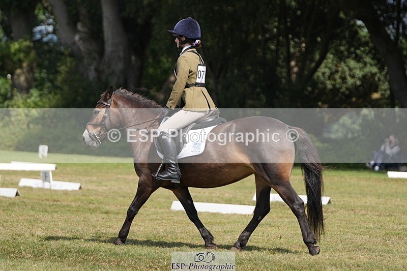 250823A-134741-31078 - Arena B