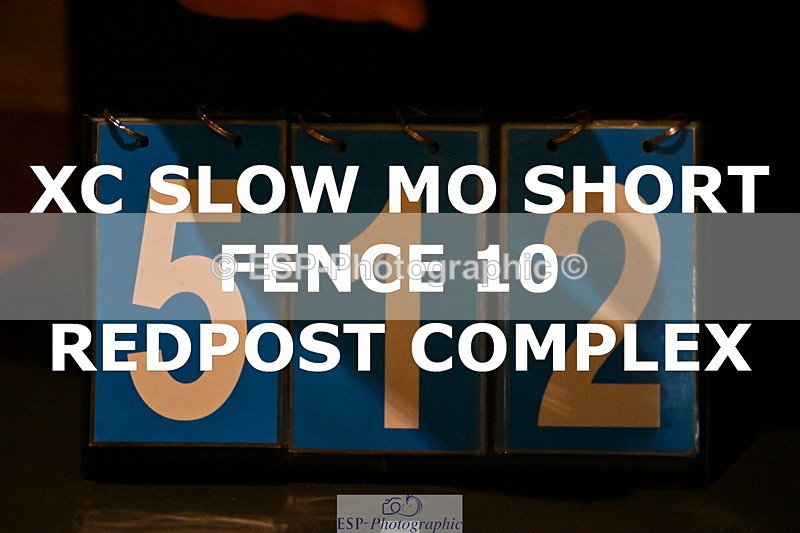 ESP_512 - G-512-Tilly.Newman-Moore