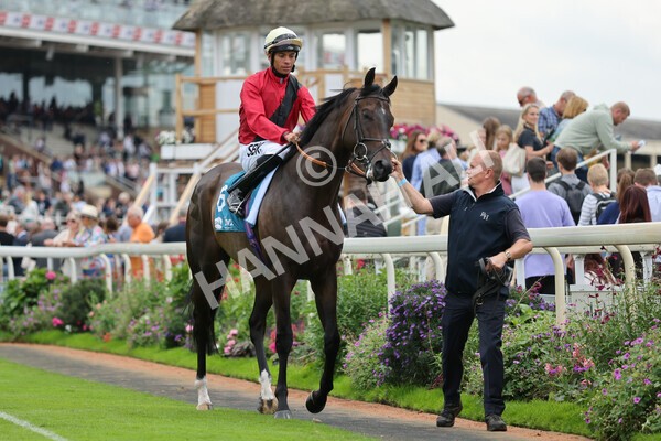 yr04092022r3-16 - Race 3 2.55pm The Elevator Company Garrowby Stakes