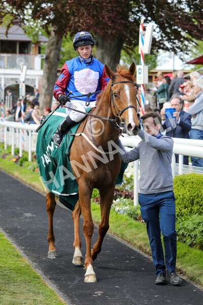 yr12052022r3-34 - Race 3 3.00pm The Paddy Power Hambleton Stakes