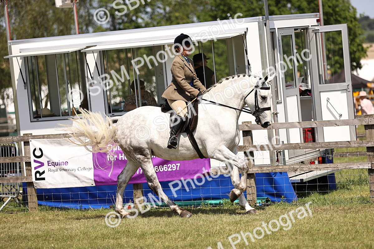 SBM_16230 - Class 79-80 - LIHS BSHA Rising Star Ridden Hunter