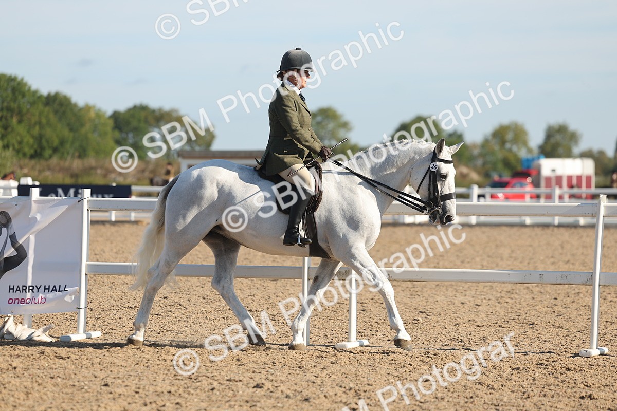 SBM_12162 - Class 303 - Ridden Pure Bred Horse Pony