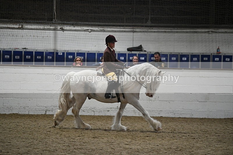 WJ7_4206 - Class 17 Ridden Cob