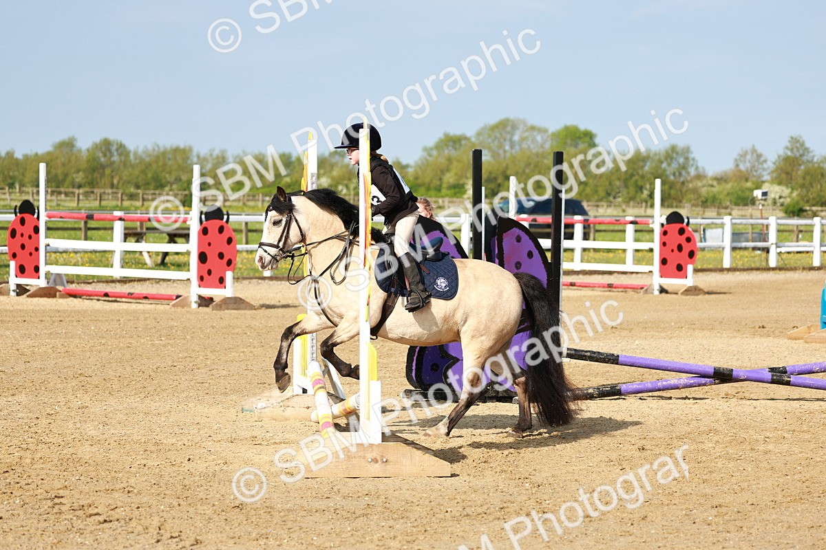 SBM_006244 - Class 1 - 40cm