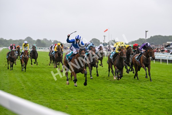 130724-Race 3-Enfjaar-7257 - Race 3 3.10pm John Smith's Cup Handicap