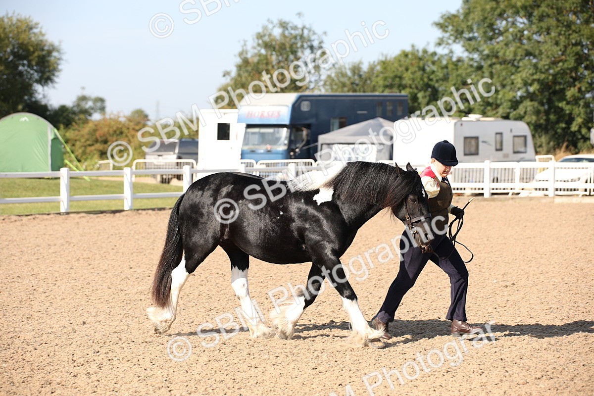 SBM_01479 - Class 15 IH Coloured