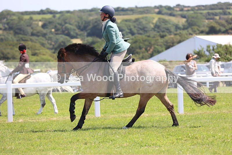 JPP_3162 - Class 22: Working Hunter 70cm