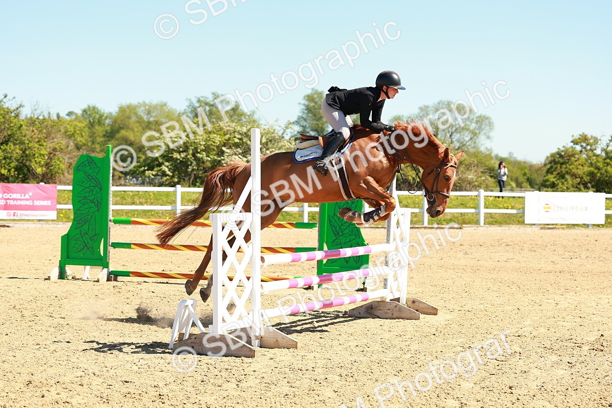 SBM_000453 - Class 2 - Senior British Novice - 90cm