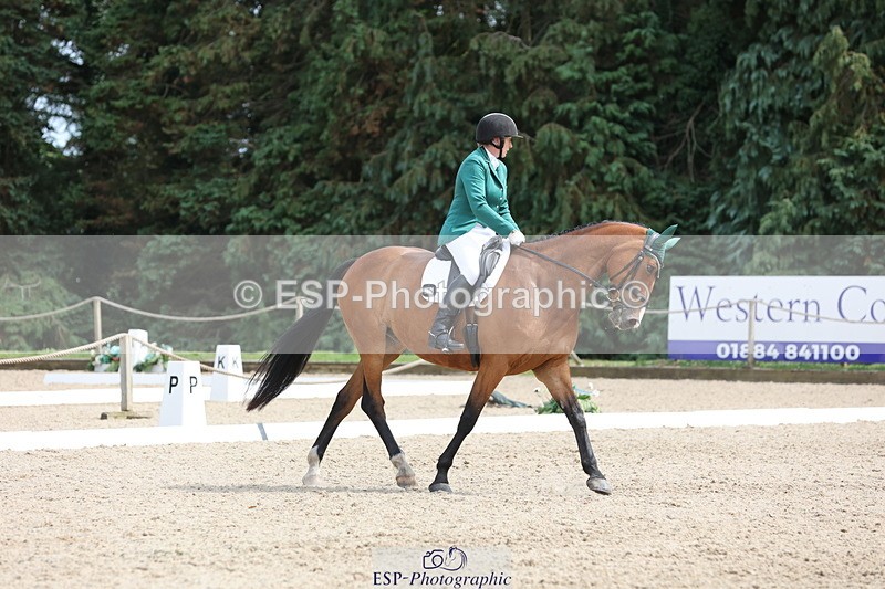 250718A-152848-02580 - 152-Tracy.OKennedy-Wylye.Harlequin