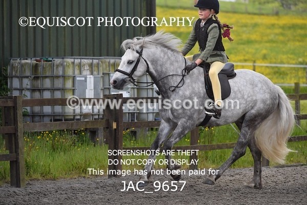 JAC_9657 - CLASS 1 Nursery Novice Working Hunter (0.50m)