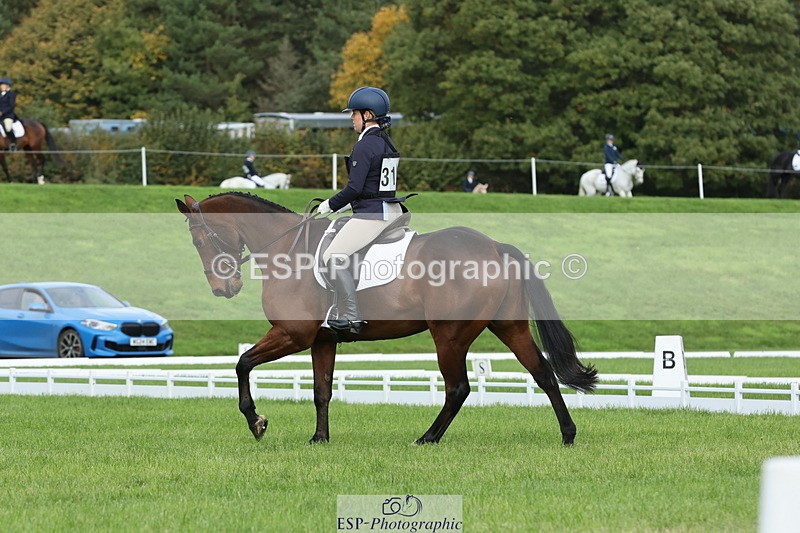 251023A-112110-03293 - D-312-Laura.Sharpe