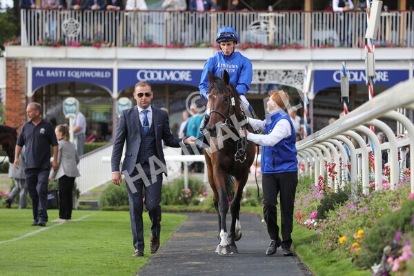 yr19082022r6-41 - Race 6 4.45 pm British Stallion Studs EBF Convivial Maiden Stakes