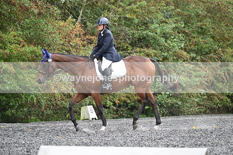 WJ7_6483 - Time 14:49 to 15:14