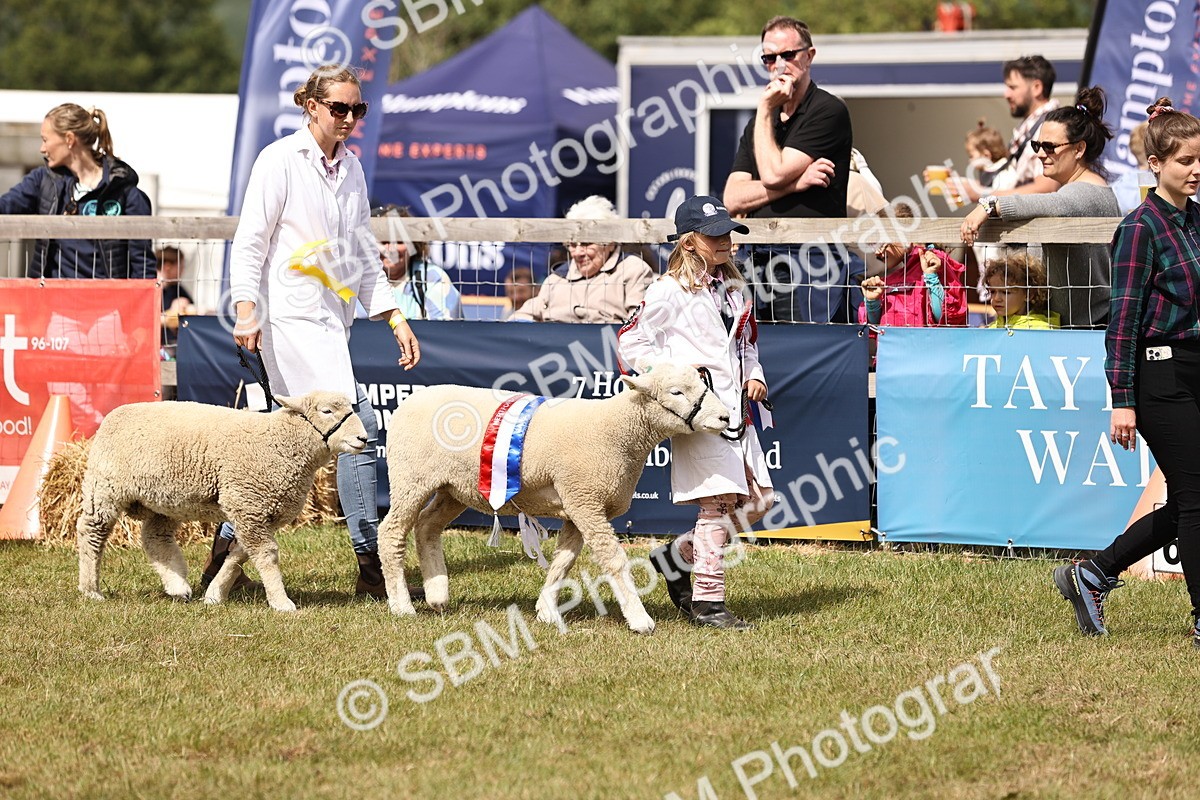SBM_16838 - Grand Parade
