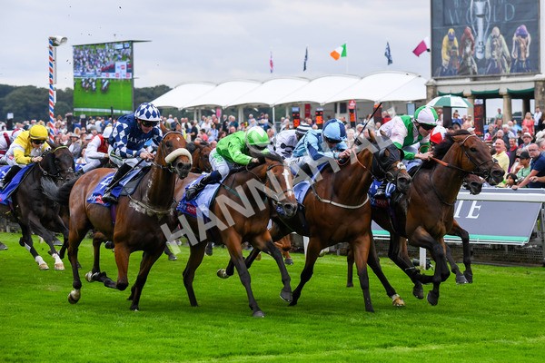 230823-Race 1-Equilateral-0251 - Race 1 1.50pm Sky Bet And Symphony Group Handicap