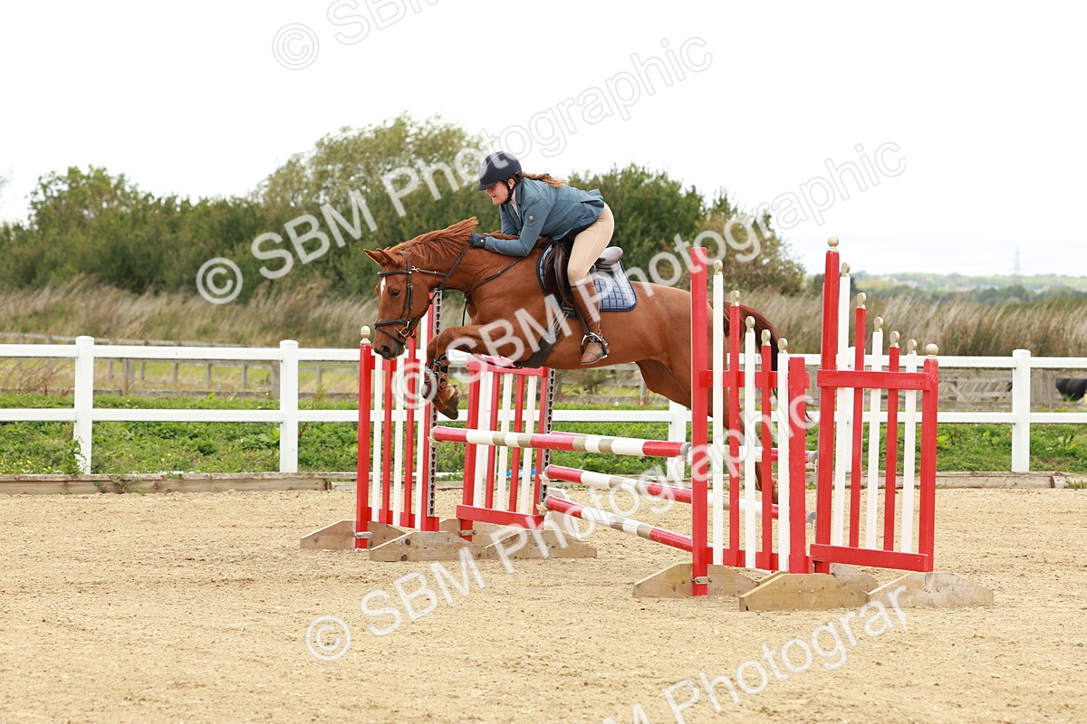 1I0A6710 - Class 2 - Senior British Novice