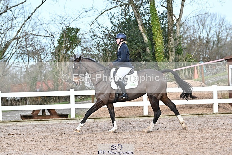 250125-131828-00602 - Dressage - CT Class 6 BE102