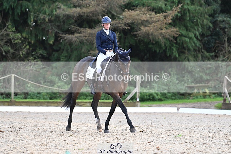 231019-145038-04286 - 057-OVERTON.TILANA'S.GOLD-Claire.Deuten-DR