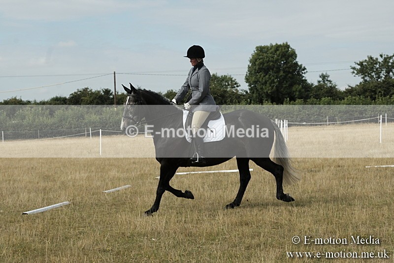 _PJP5626 - Dressage Classes BVRC Show 2018