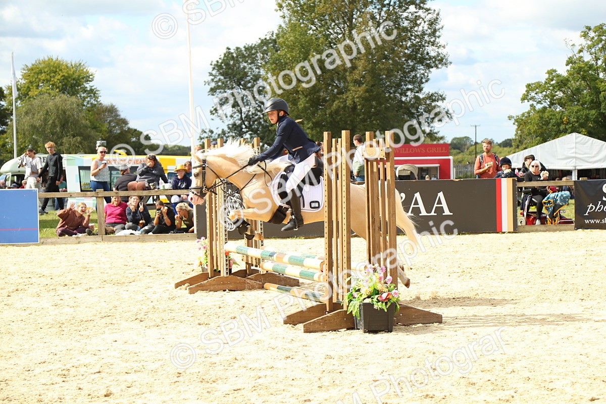 SBM_41436 - J6 - Junior Pony 55cm Championships