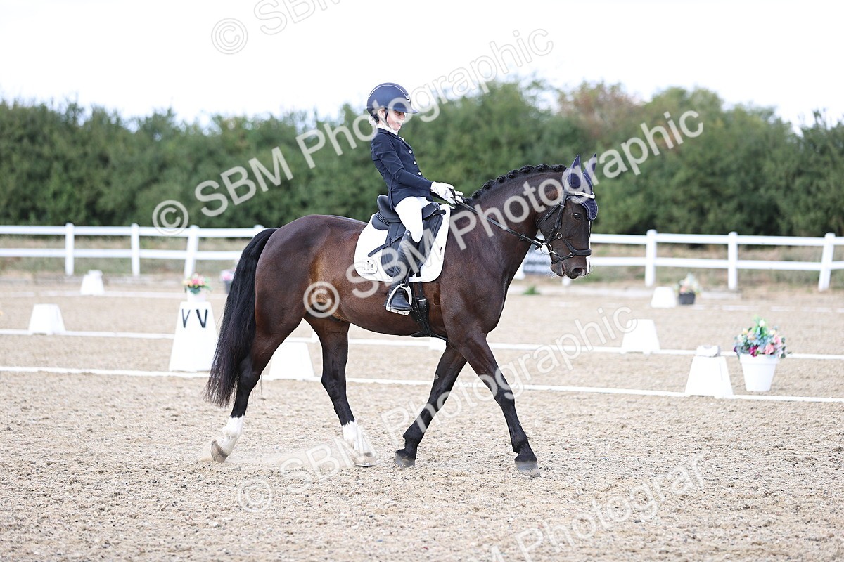 SBM_015302 - Class 5 - E5 Bronze 14.42.15.54