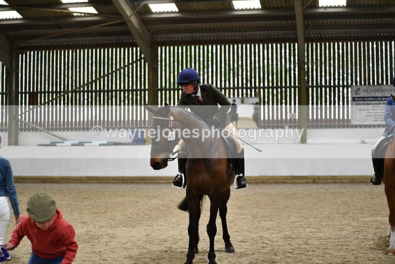 WJ5_8073 - Class 13 Ridden Part Breed