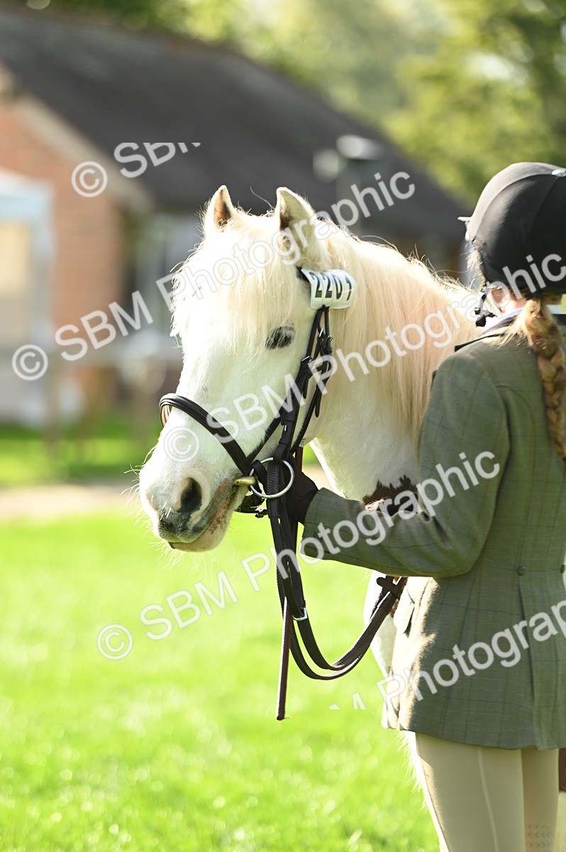 SBM_15893 - S1 - TSR in Hand Horse & Pony Showing