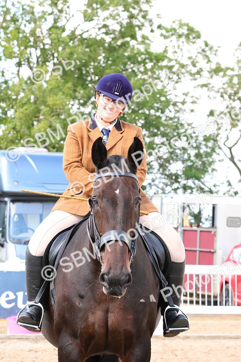 SBM_13530 - Class 212 - Ridden Hunter  - Large