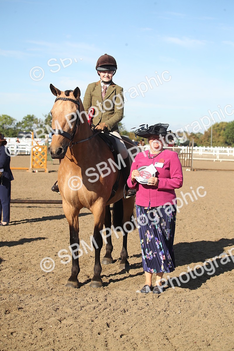 SBM_11343 - Class 501 -Riding Club Pony