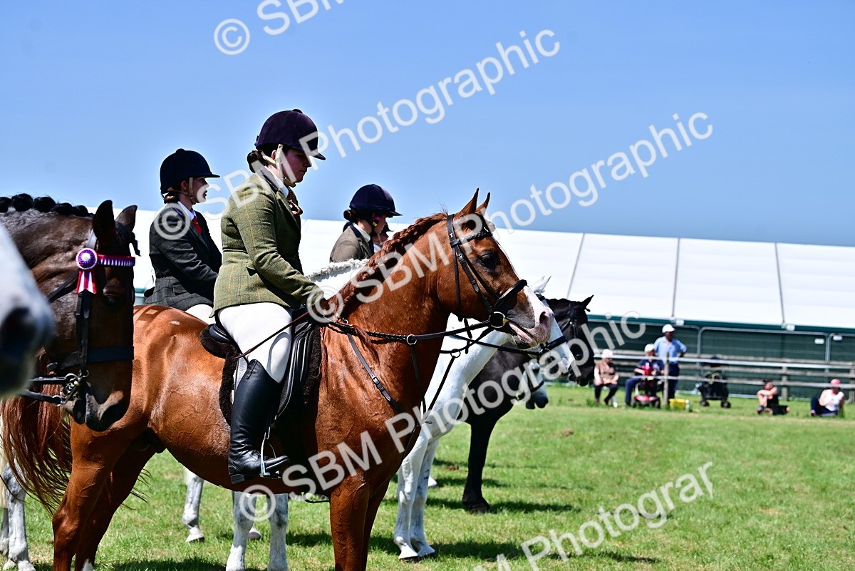 SBM_17427 - Class 95-97 - BSPS LHS Performance Ponies