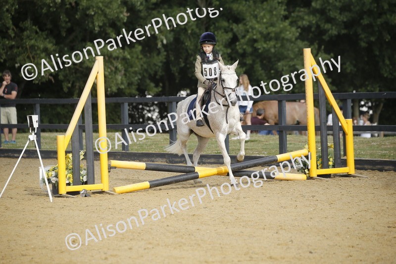 20250622-1227 - 40cm