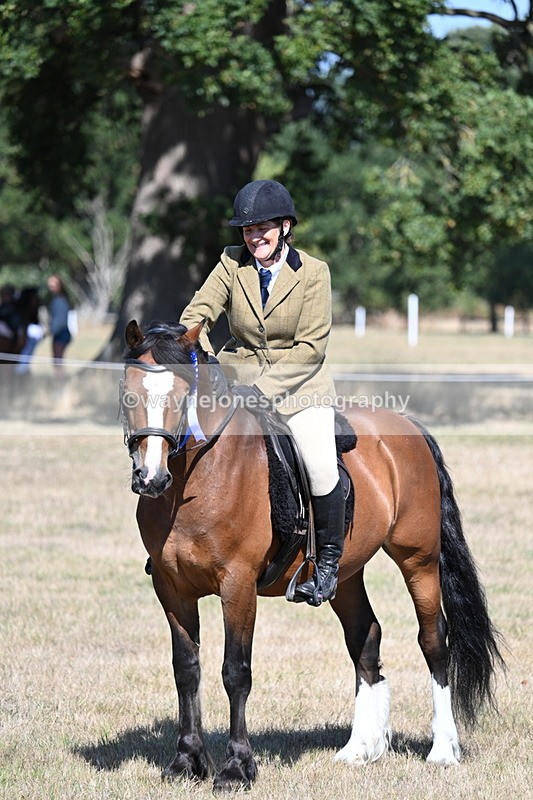 WJ7_4140 - Class 9 Mountain & Moorland Ridden