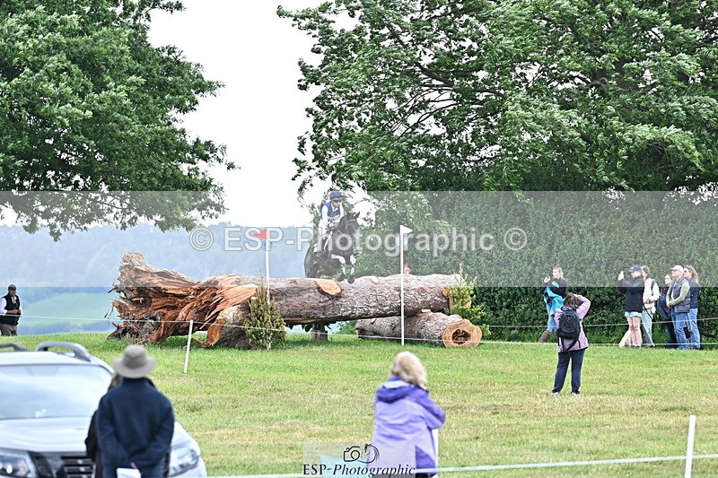 250525A-121548-15965 - D-409-Kirsty.Chabert-HERALDIKS.GIRL.OPPOSITION