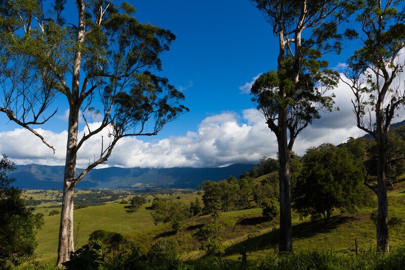 The Caldera looking down into Tyalgum Valley from old tip site park - Mt Warning