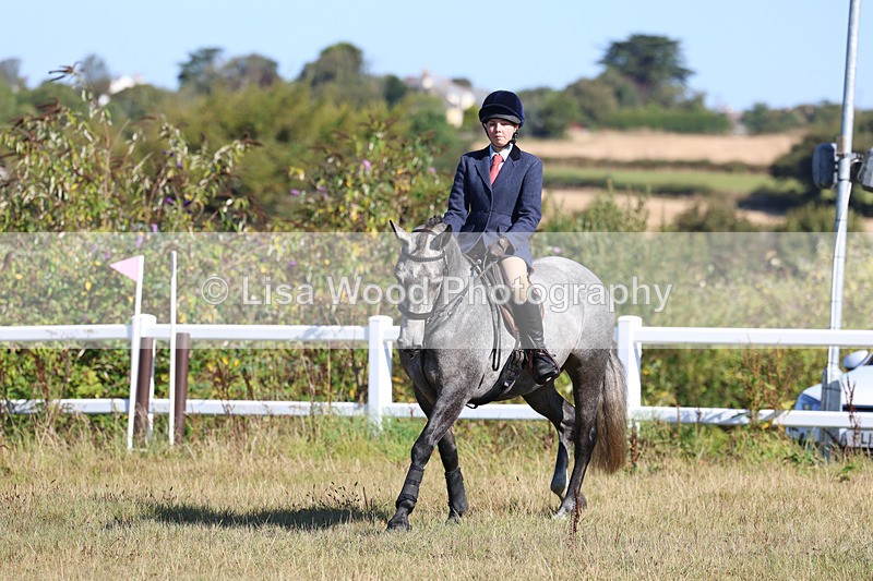 3E7A5470 - Class 3: Working Hunter 70cm
