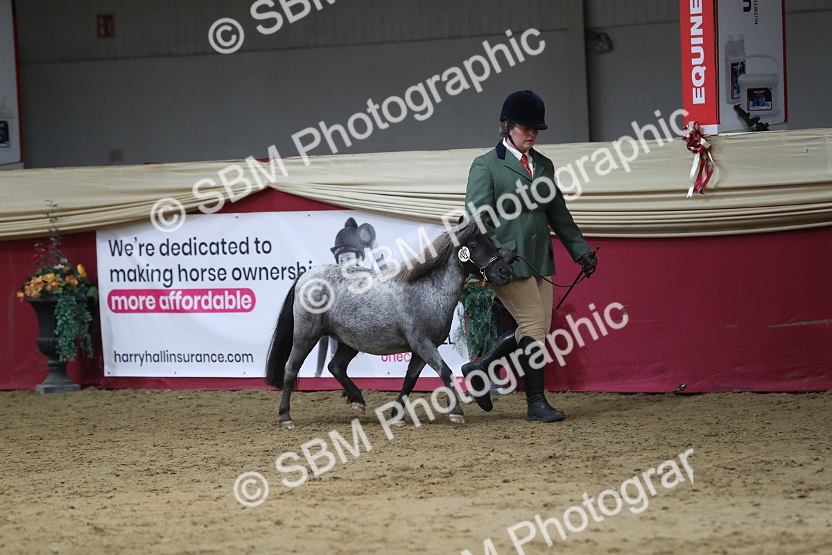 SBM_06289 - Class 9R Regional- IH Pre Vet