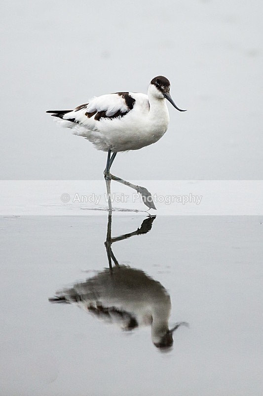 20131001-3K8A6454 - Waders