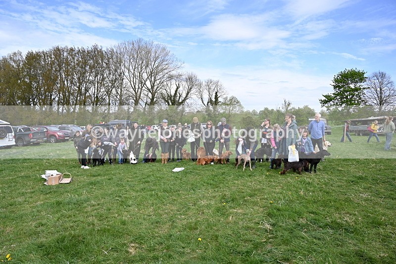 WJ6_9176 - Class 8 Best Working / Gun Dog or Bitch