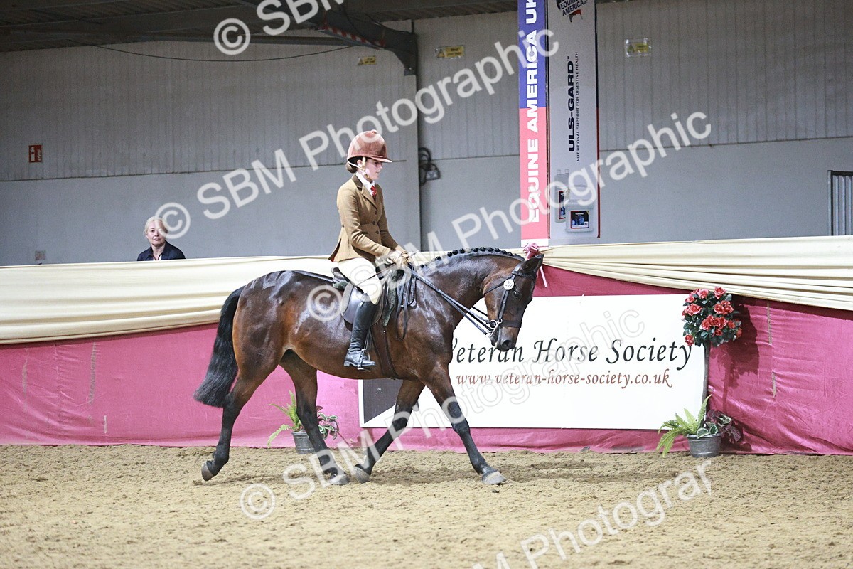 SBM_08042 - Class 11R - Regional Ridden Veteran